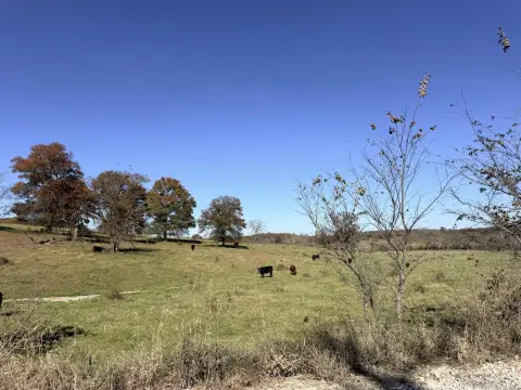 80 Acres of Rolling Land