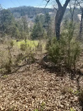 Land in Prime Branson Location