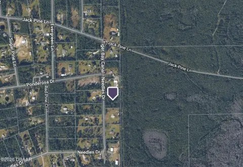Ormond Beach Homesite Opportunity