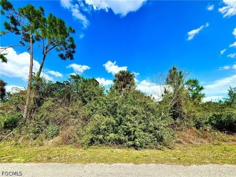 Lehigh Acres Half-Acre Lot