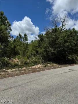 Lehigh Acres Half Acre Lot