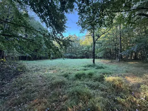 Mountain Hunting Land