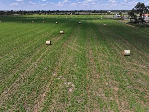 Irrigated Farmland with Grain Bin