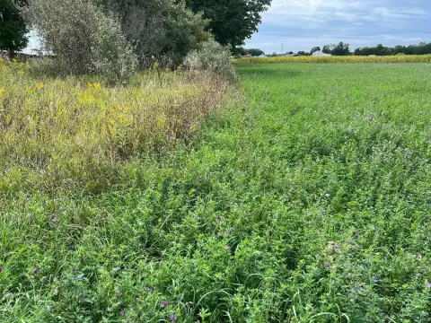 Agricultural Land with Approved Split