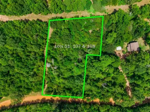 Wooded Lots in Hawkins, TX