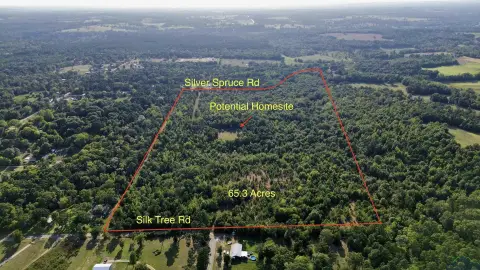 65.3 Acres in Union Grove