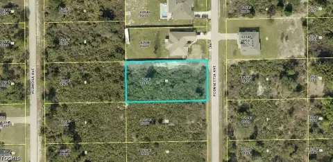 Vacant Land in Lehigh Acres