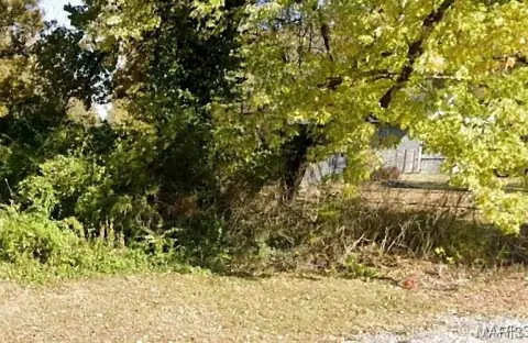 Buildable Lot Near Downtown St. Louis