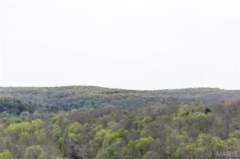 95 Acres in Washington County