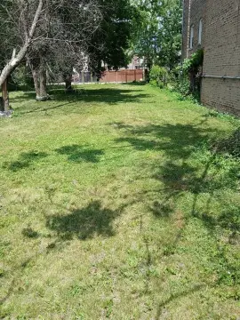 Vacant Lot in Chicago
