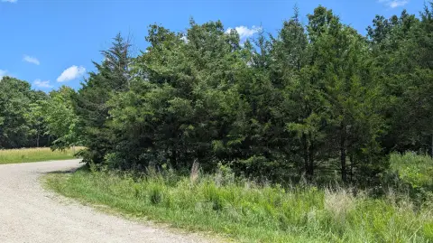 6 Acre Wooded Land Parcel