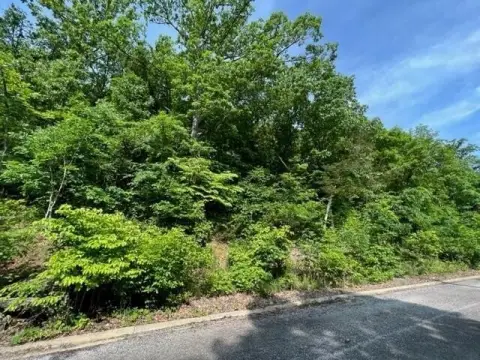 Residential Land in Emerald Pointe