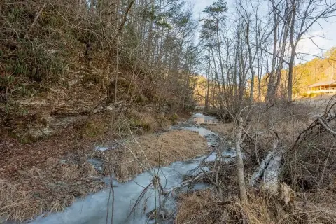 40 Acres of Wooded Land