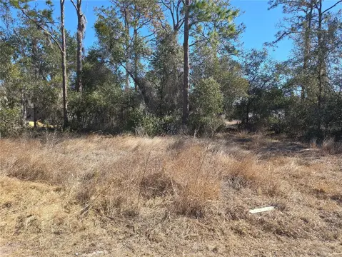 Buildable Lot in Developed Neighborhood