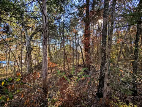 Residential Lots in Merriam Woods