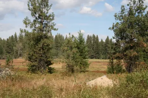 Secluded Meadow Building Site