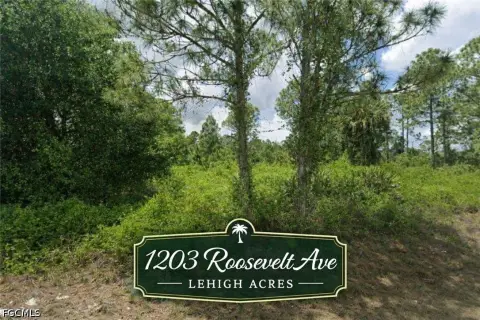 Residential Lot in Lehigh Acres