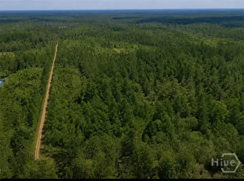 Wooded Hunting and Homesite Land
