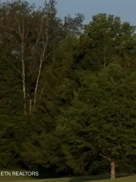 Land For Sale Rogersville, TN