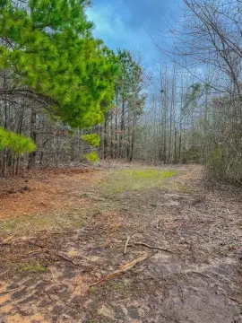 48 Acres Near Gilmer, TX