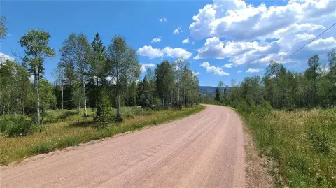 Residential Land Lot with Electric