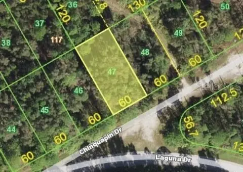 Residential Land in Punta Gorda