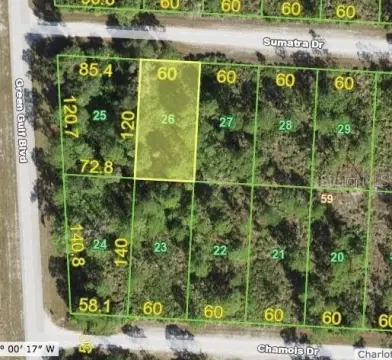 Punta Gorda Land Opportunity