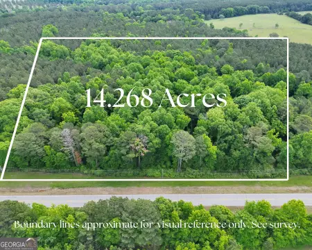 Acreage on Highway 85, Gay