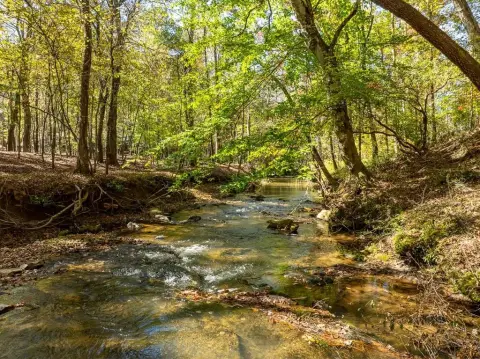 Ellijay, GA Vacant Lot