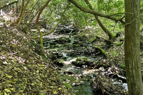 Scenic Lot in Tusquittee Valley