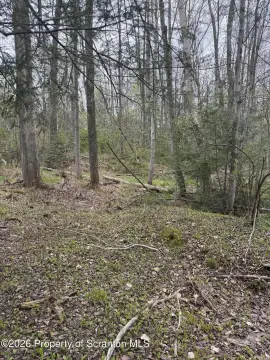 Wooded Lot in Covington Township