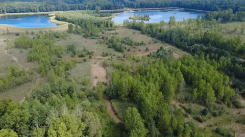 Hunting Land with Diverse Cover