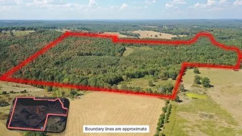 190 Acres of Hunting Paradise