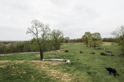 79.4 Acres of Farmland