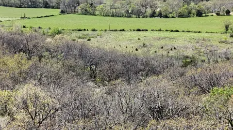 Land Parcel Near Table Rock