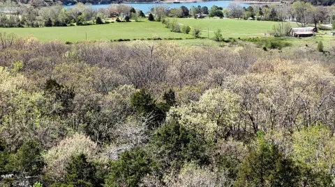 Land Near Table Rock Lake