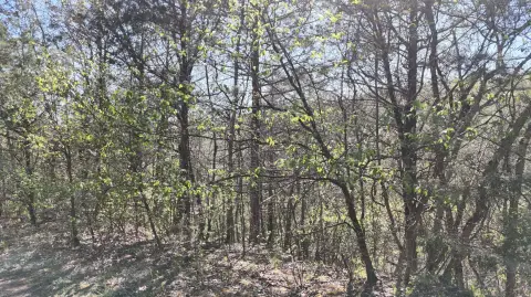 Shell Knob Land with Views