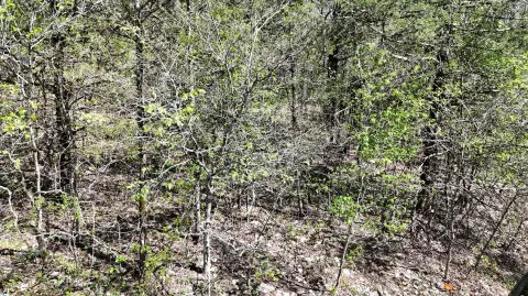 Shell Knob Land For Sale