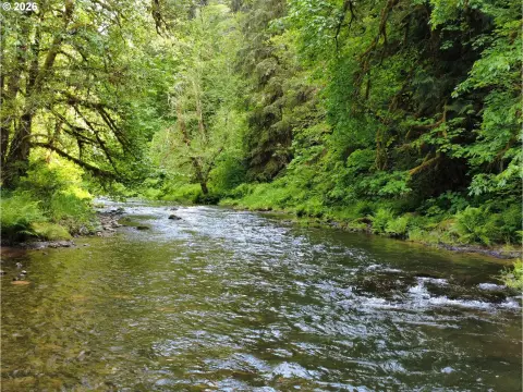 Coweeman Riverfront Recreational Land