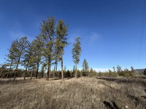 Buildable Rural Acreage Retreat