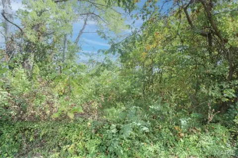 Residential Land in Dixon, Missouri
