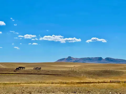 Hi-Line Acreage with Versatile Barn
