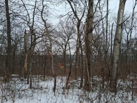 Gays Mills Vacant Land Opportunity