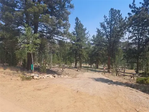 Treed Mountain Land Parcel