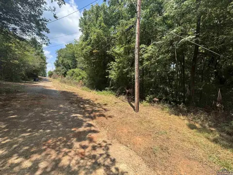 Residential Lot in Daingerfield, TX