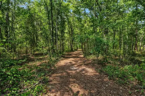 Secluded Land with Conservation Views
