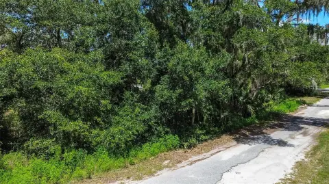 Spacious Land in Crystal River