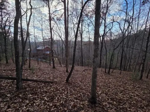 Toccoa River Access Building Lot