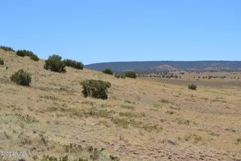 Concho Land with Incredible Views