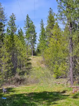 10 Acres with Utilities Included